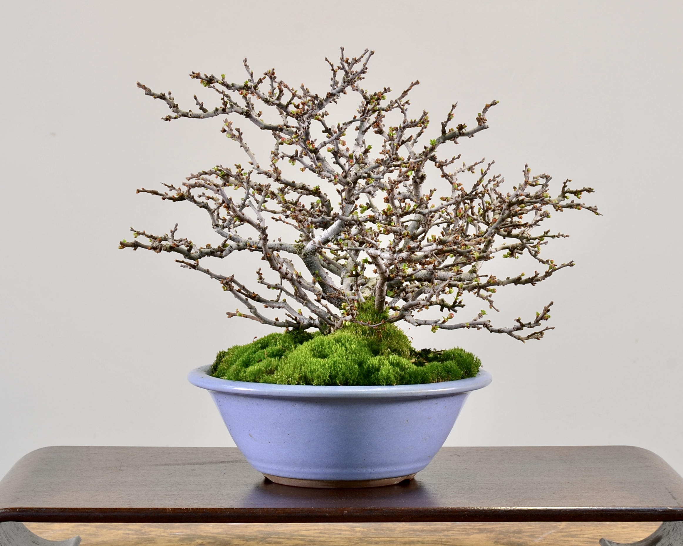 800CB8CE-F5F4-4A58-BEBE-133B9CF8252C