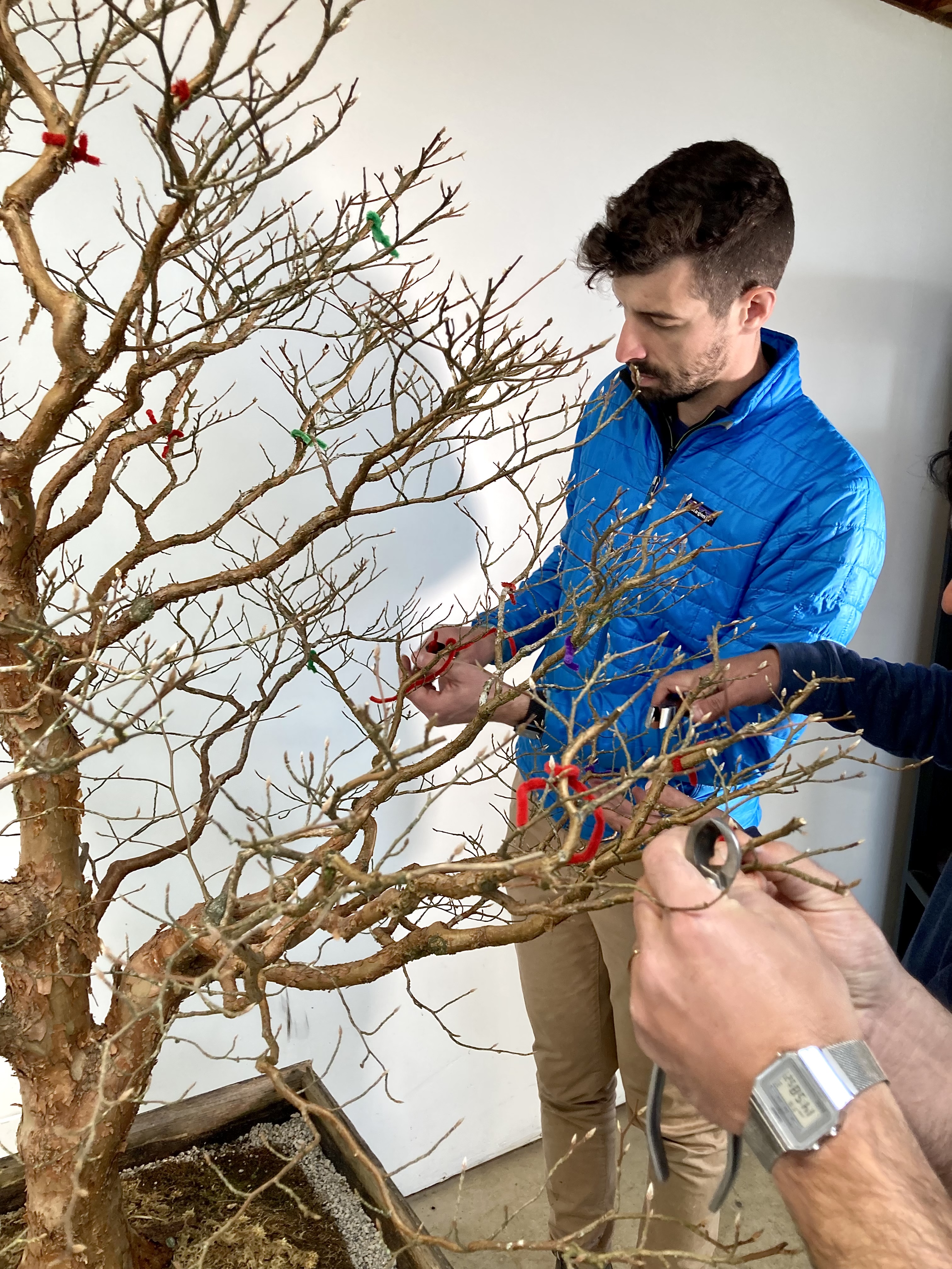 952C52B7-B860-4184-A793-BB5F3B2A0D08