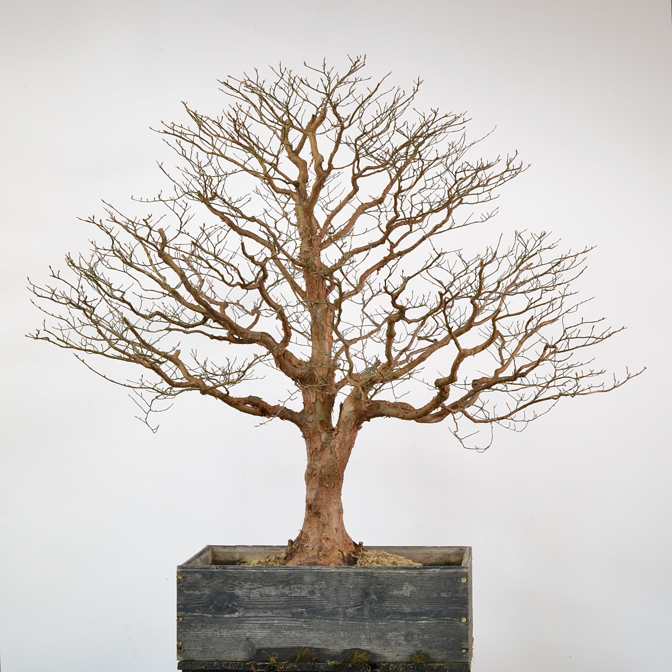 A7218B1E-5186-4A8D-90ED-5D6DF85E5CDB