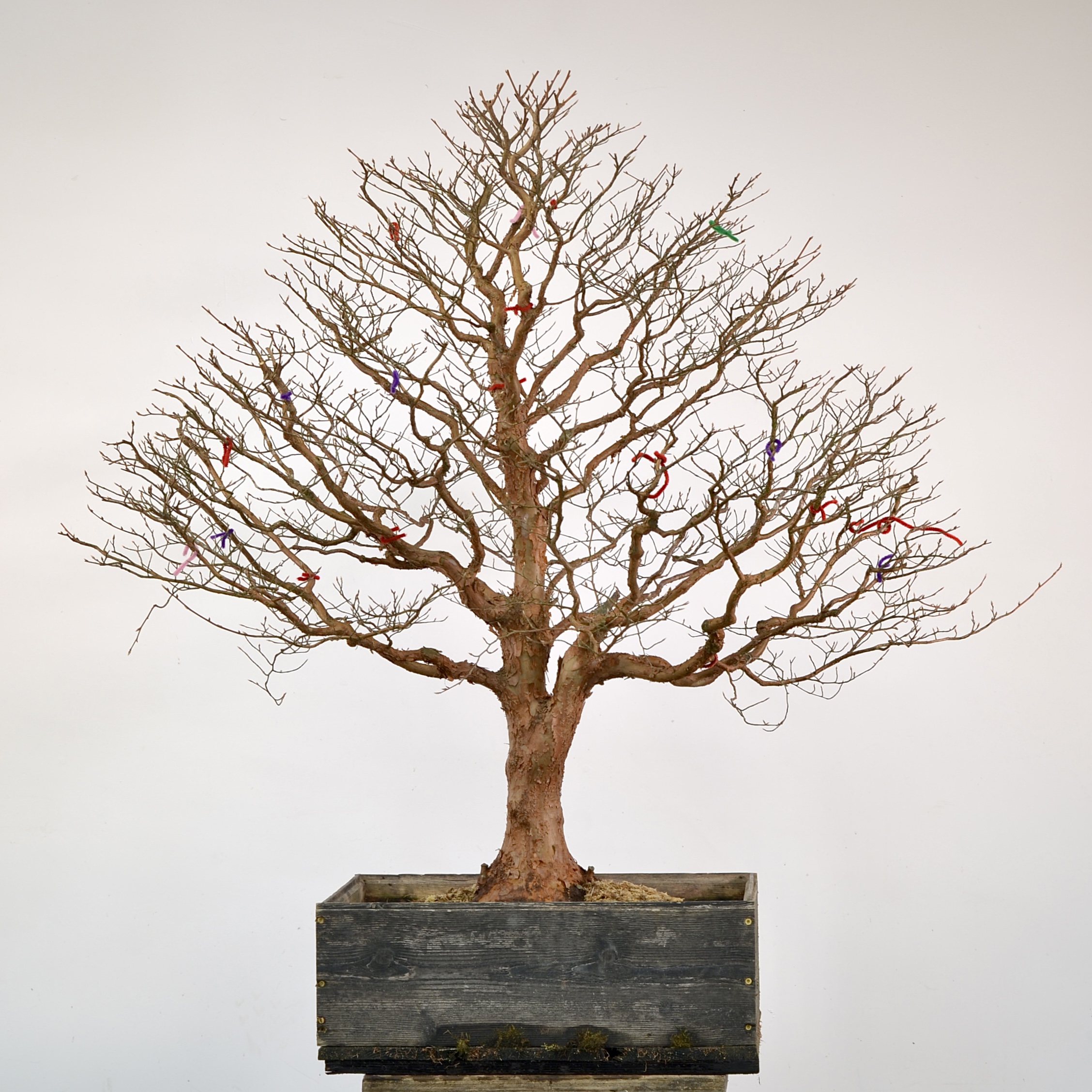 FAA6C7BC-DE8D-4DE8-99F7-578AE4094154