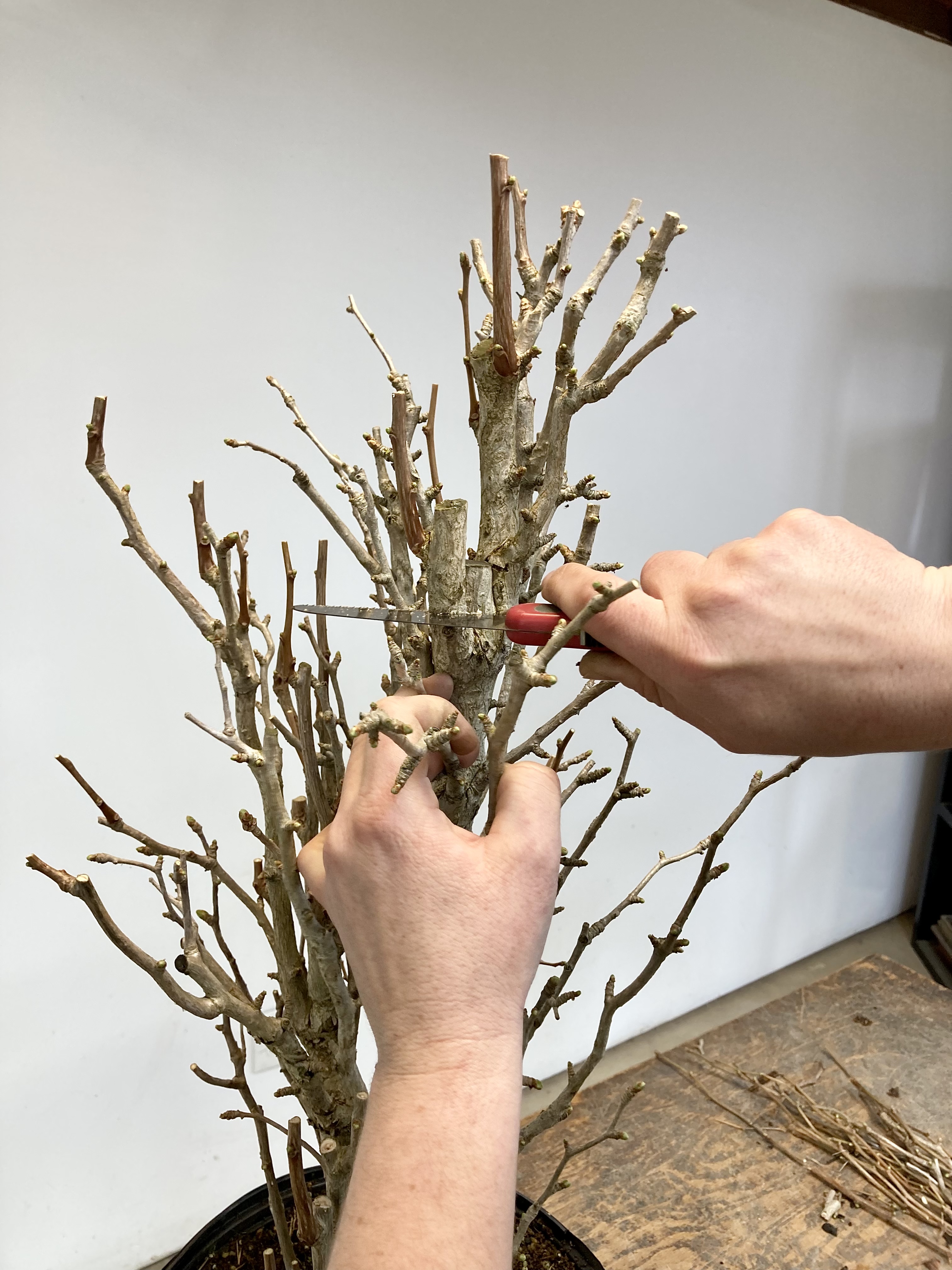 69F65747-A5A0-4FEE-A093-60D50E1A15ED