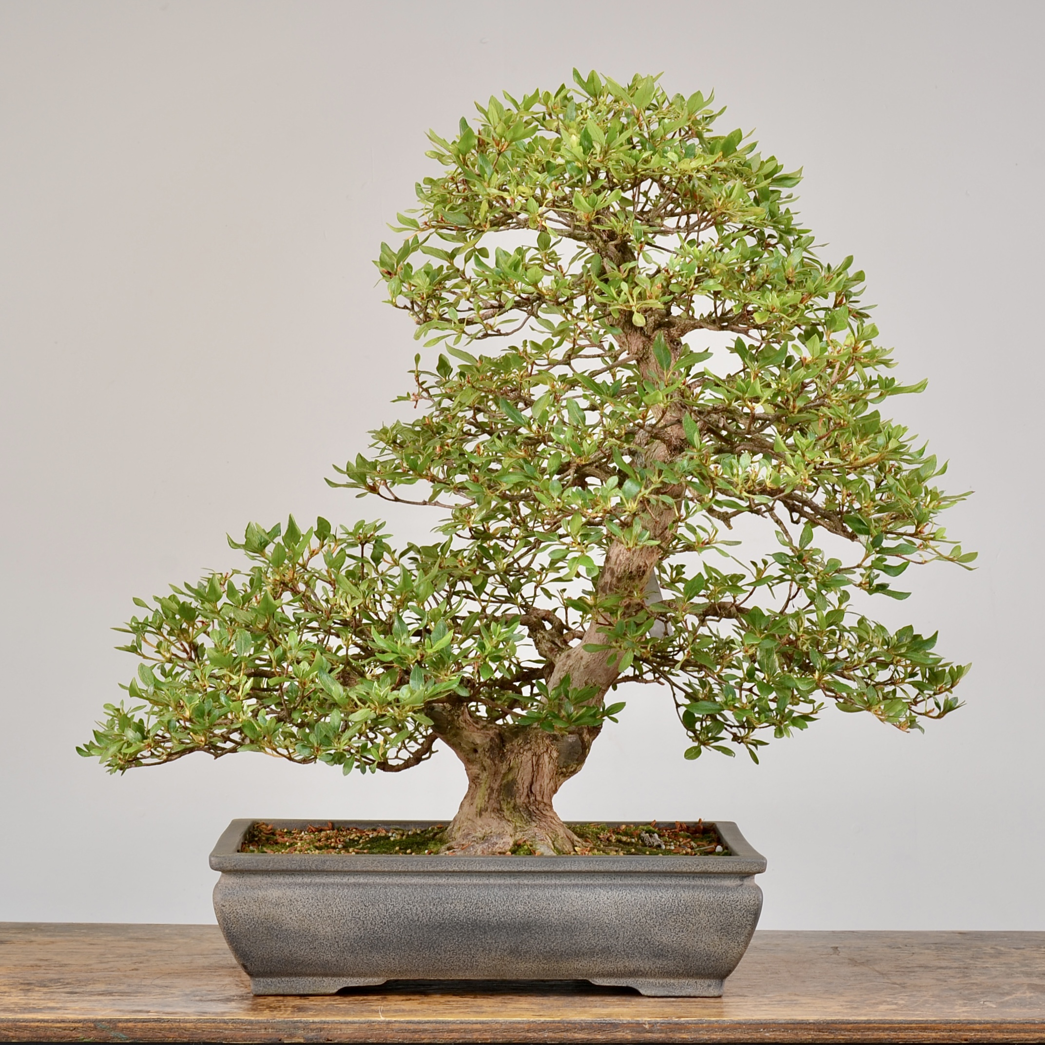 86DE083F-38AB-42BA-A602-C6007C8D1199