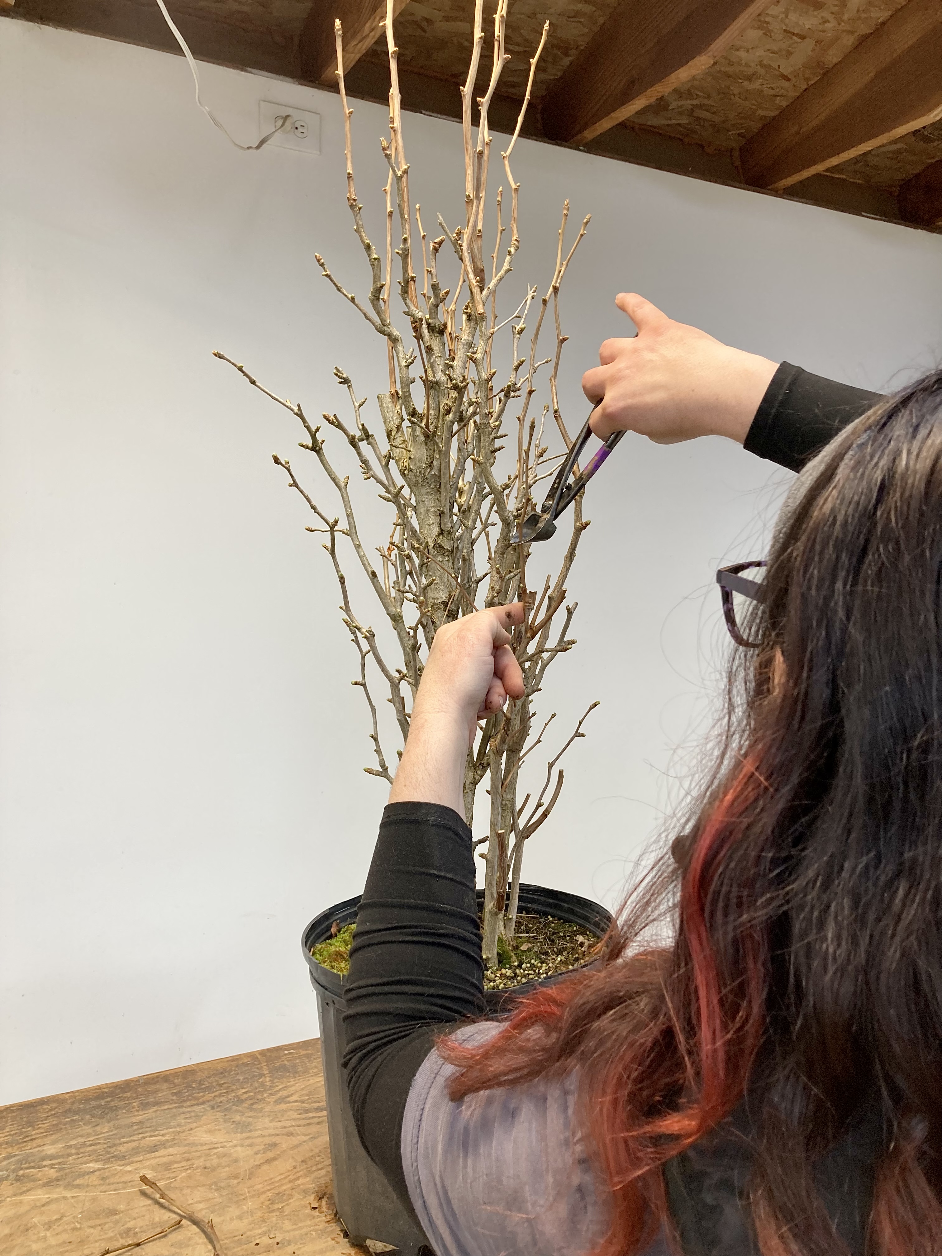 DCE01F68-8585-452C-AF61-246E7405C612