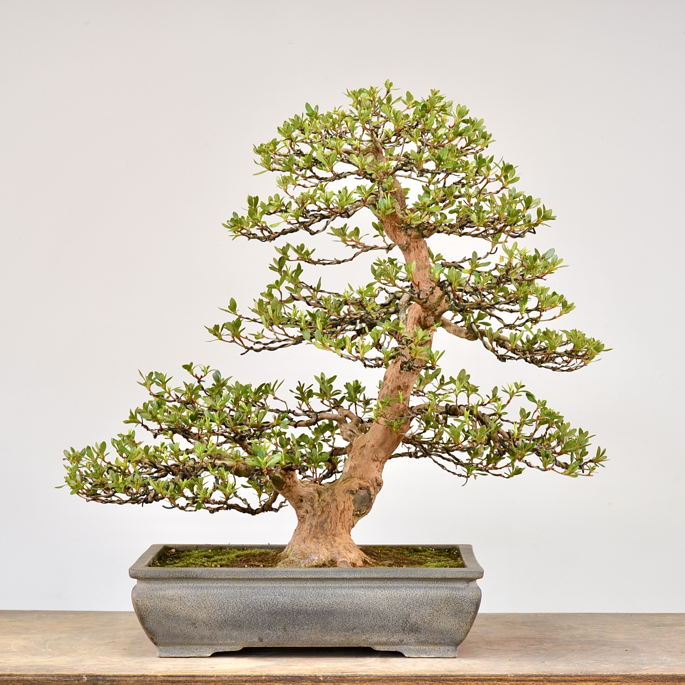 F5AEDE7B-7729-489F-9C39-A22196EAAD87