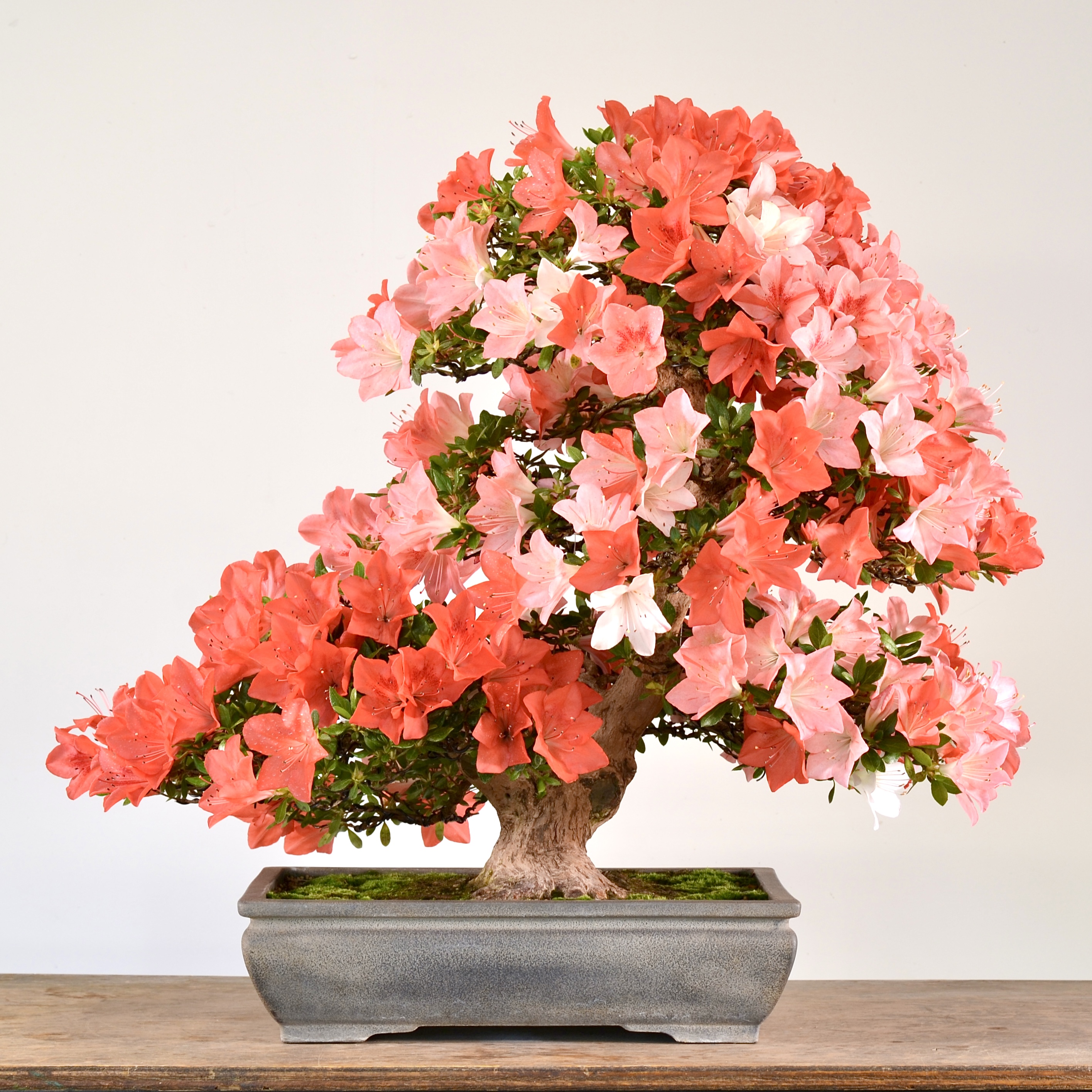 25ED5D63-53DD-47E8-ABA4-639A30525E08