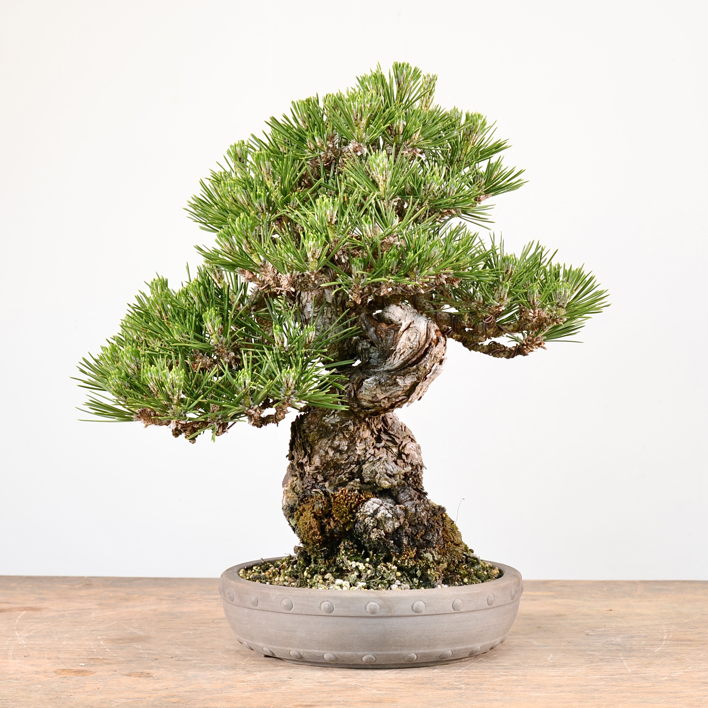 2D798143-C1DE-4FE1-A862-759218E57C40