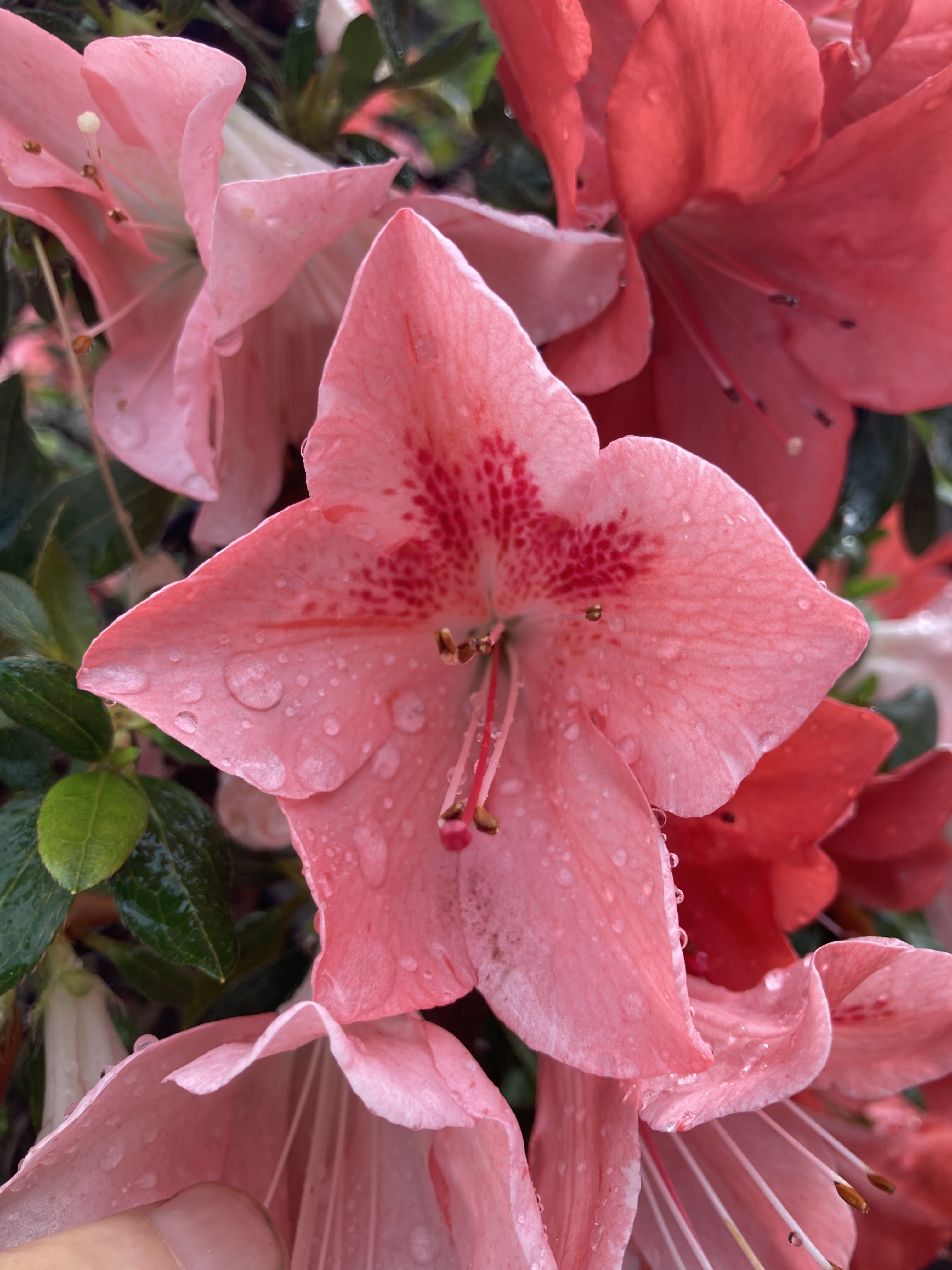 3DD56019-9E7E-48D8-9E40-5F4C0C0E84B6