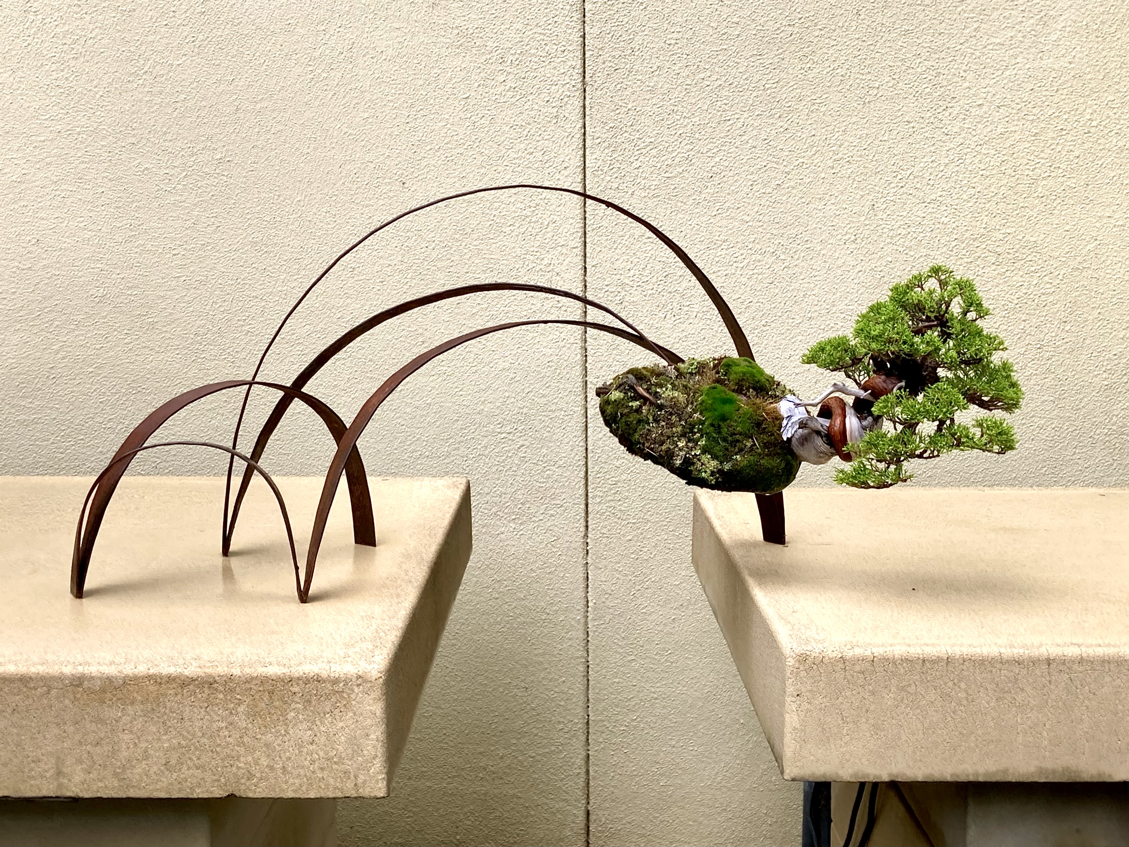 Construction of Metal Stand for Juniper