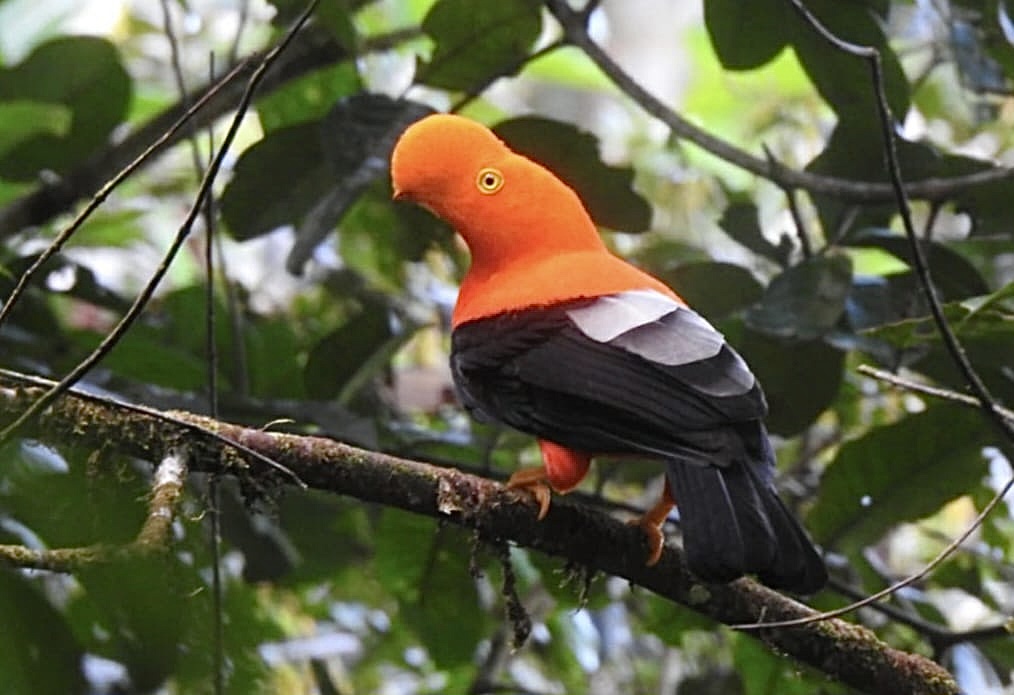 6cfa8f53-6bd5-4030-9c80-e61b1c153f65