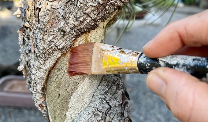 Recipe: Alcohol / Resin Wood Hardener