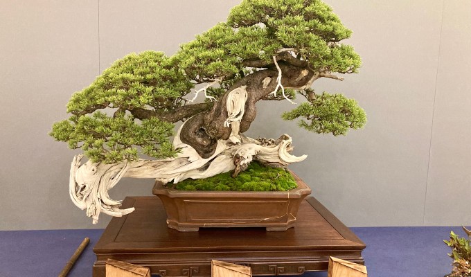 UBE 2024 Show Highlights