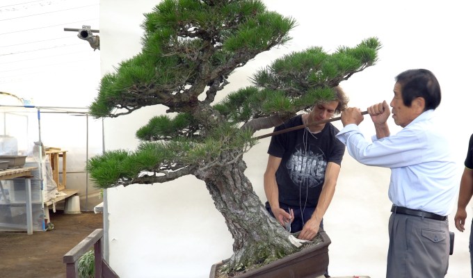 Review: Kimura Techniques Masterclass 2