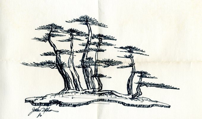 The Story Of David DeGroot’s Black Pine Raft