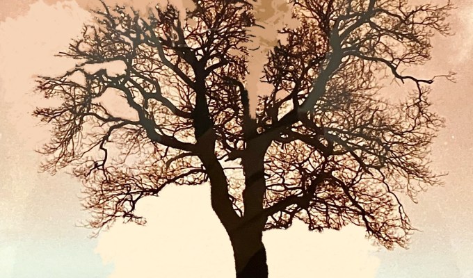 Photo Whiteout Exercise