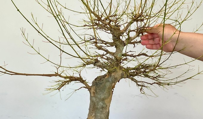 Mid-Summer Trident Rework