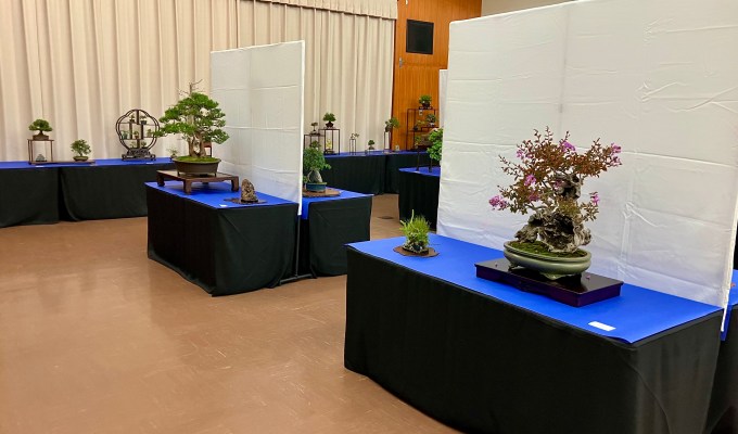 East Bay Bonsai Society and Lake Merritt