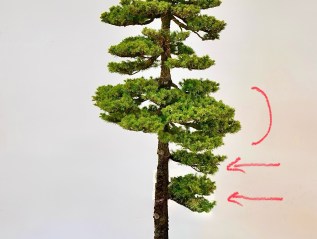 Formal Upright White-out Exercise: Part III