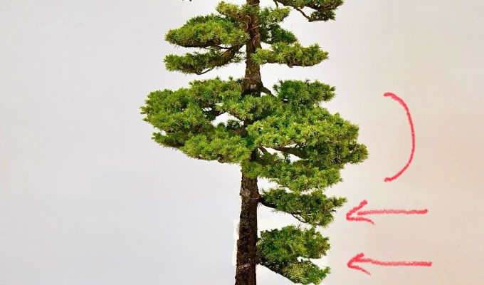 Formal Upright White-out Exercise: Part III