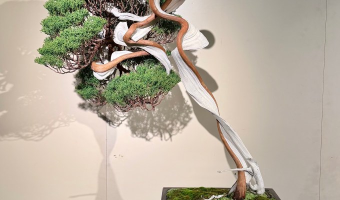 2026 Kokufu-ten: Part 2