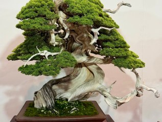 Bonsai Integration
