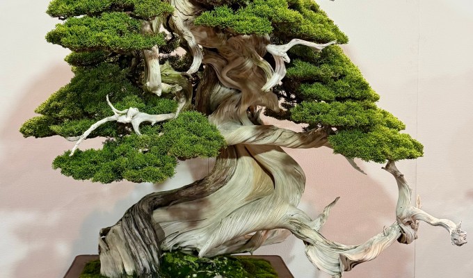 Bonsai Integration